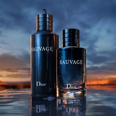 profumi economici imitazione pure allure dior|Migliori profumi simili a Dior Sauvage: 4 alternative economiche .